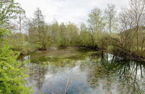 Sauerland Oase - Foto 9