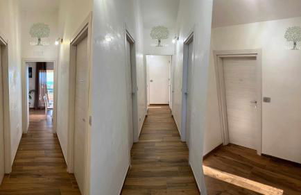 Ulivi di Cleo - Foto 46