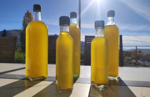 Terre de Lumière - Foto 29