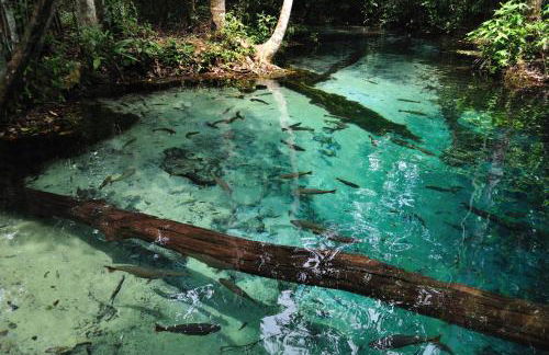 Chalé Container Nobres Asa Própria - Foto 21