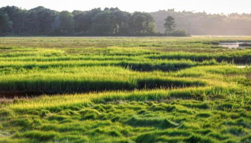 Quaint Bungalow - Foto 2