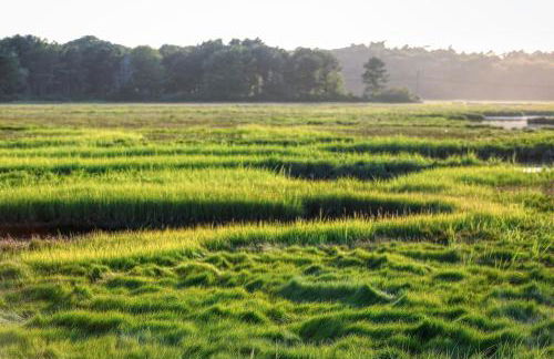 Quaint Bungalow - Foto 2