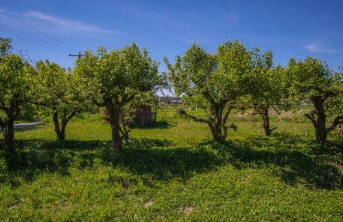 Sundance Countryside Retreat - Foto 57