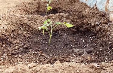 Anevalousa Beach House - Foto 16