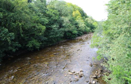 Honeysuckle Cottage - Foto 20