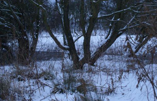 Watercress Barns - Photo 56