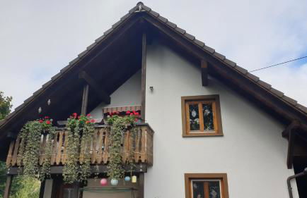 Ferienwohnung auf dem Bückle - Foto 4