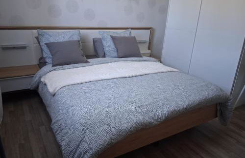 Gite les Vignes du Château - 30 min Beauval - Foto 28