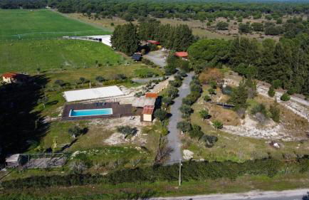 Casa Pinheiro - Foto 32