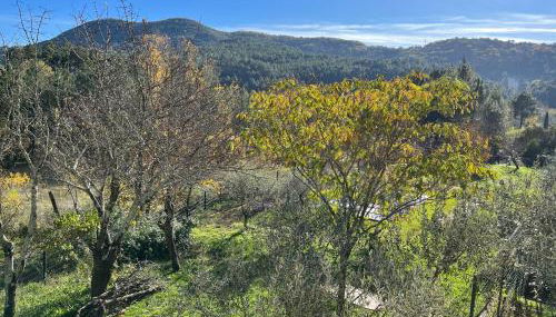 Gites du Mas Bouscas - Foto 3