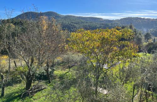 Gites du Mas Bouscas - Foto 3