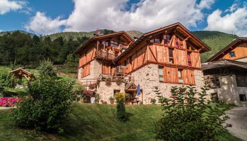 Maso Fior di Bosco - Val di Rabbi - Esercizio Rurale - Foto 3, Garden view