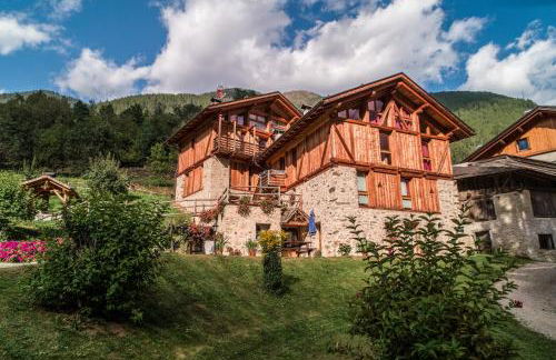 Maso Fior di Bosco - Val di Rabbi - Esercizio Rurale - Foto 3