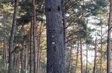 Casa La Puerta - Foto 7