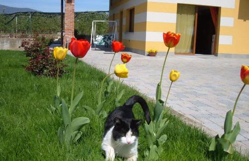 Agriturismo Fior Di Campo - Foto 79