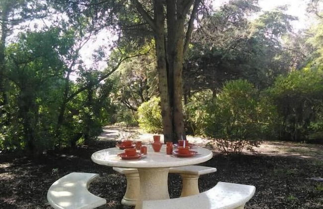 Nature Houses - Foto 48