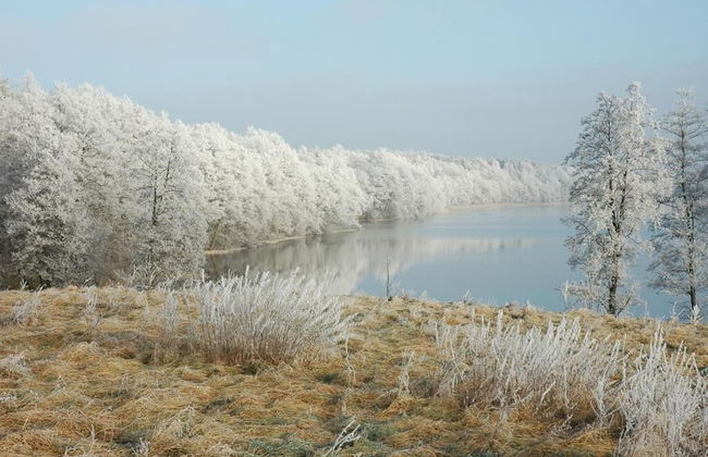Agroturystyka u przyjaciol Soni - Foto 29