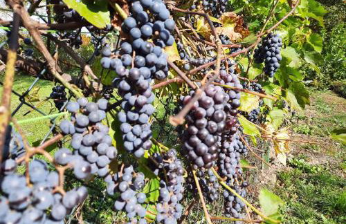 Apartamenty Sielanka - Foto 51