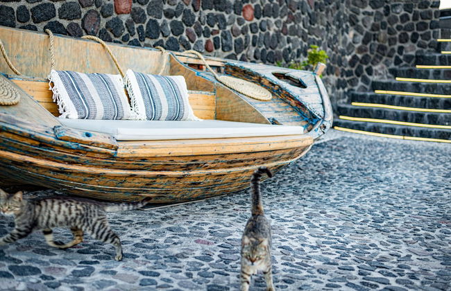 Klimata House - Private Hot Tub Pool & BBQ Villa - Photo 53