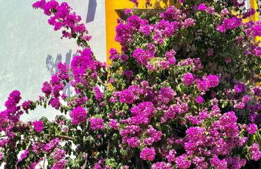 Apartment Emanuela - Photo 29