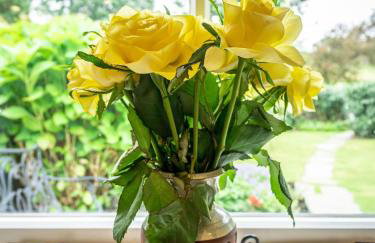 Rose Lea Cottage - Foto 13