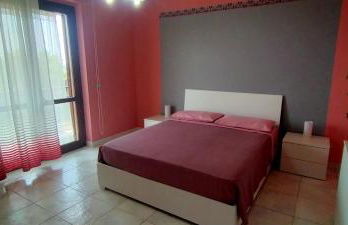 aranceto dell'Etna - Foto 63