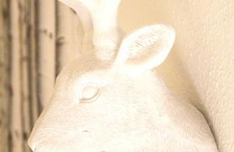 Haus Sonnenhang - Foto 10