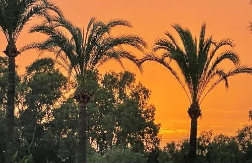 Villa PURA VIDA - Photo 17