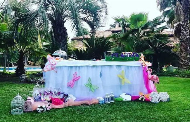 All'ombra del palmeto - Foto 39