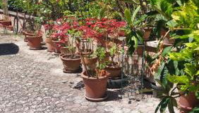 La Finestra sul Velino, uno splendore da vivere - Foto 4