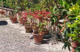 La Finestra sul Velino, uno splendore da vivere - Foto 4