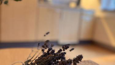 Komfort-Apartment Mit Terrasse - Photo 5