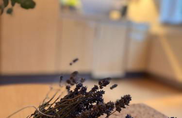 Komfort-Apartment Mit Terrasse - Foto 5