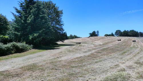 Gîte "Rêves de Gamins", proche du pôle Européen et du circuit des 24h - Foto 4