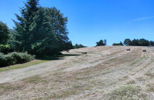 Gîte "Rêves de Gamins", proche du pôle Européen et du circuit des 24h - Foto 4