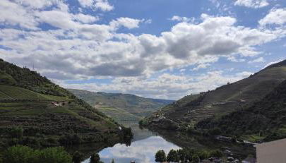 Alojamento Dos Santos - Pinhão - Foto 5