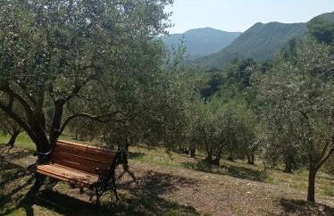 Le Mas des oliviers - Foto 10