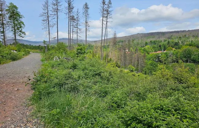 Ferienhaus in Schierke mit Garten - Foto 38