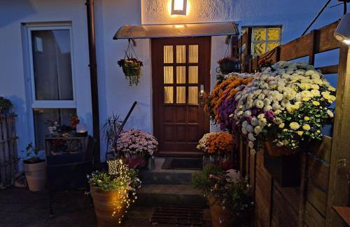 Pension Entenhausen - Foto 38