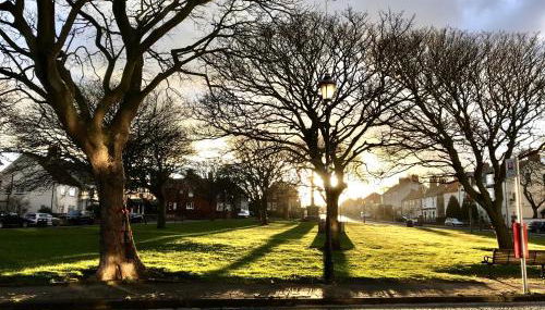 Albion Boutique Guest House - Foto 3