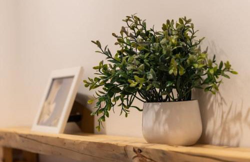 Hippocampus Home - Photo 44