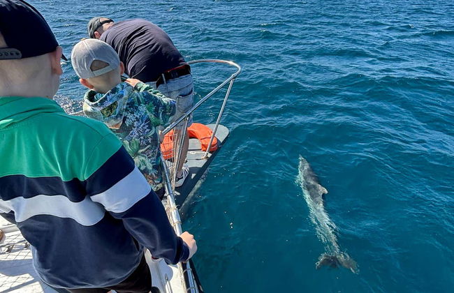 Balade en bateau dans la baie d'Estepona - Photo 7