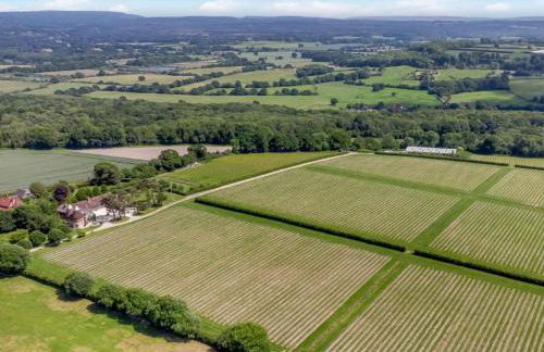 Hot Tub Retreat - Otium Wine Estate - Foto 4