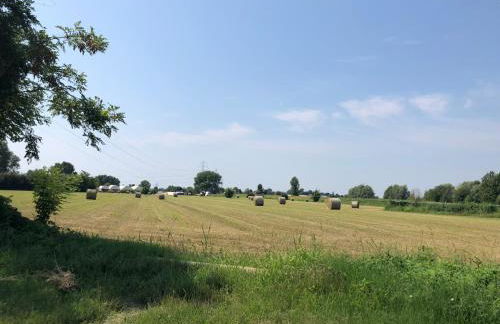 Pecore Ribelli - Photo 11