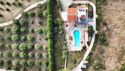 The Masseria - Foto 3, Garden, sunbed, Garden view