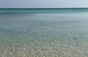 Sea & spiagge a 200m Stella del Salento - Foto 10