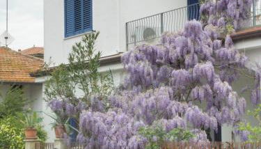 La Suite Di Rita - Foto 5