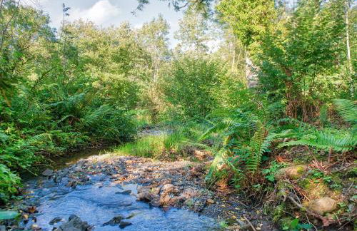 Arenig - Bala Lake - Foto 15