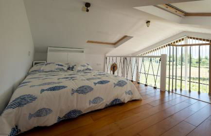 Suleiro Caldebarcos - Foto 20