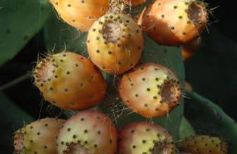 Casa Rural Abuela Maxi - Foto 75